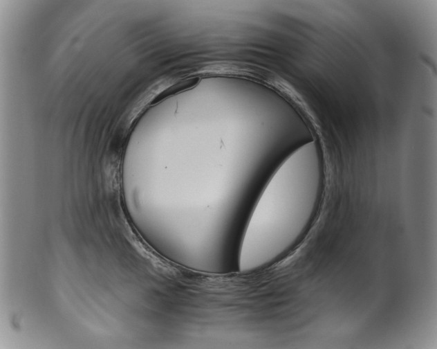 X0000101681049200807101140