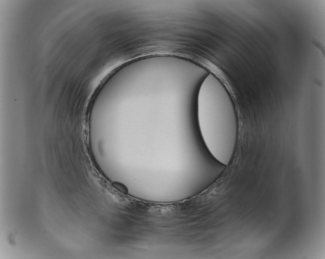 X0000101681051200807101140