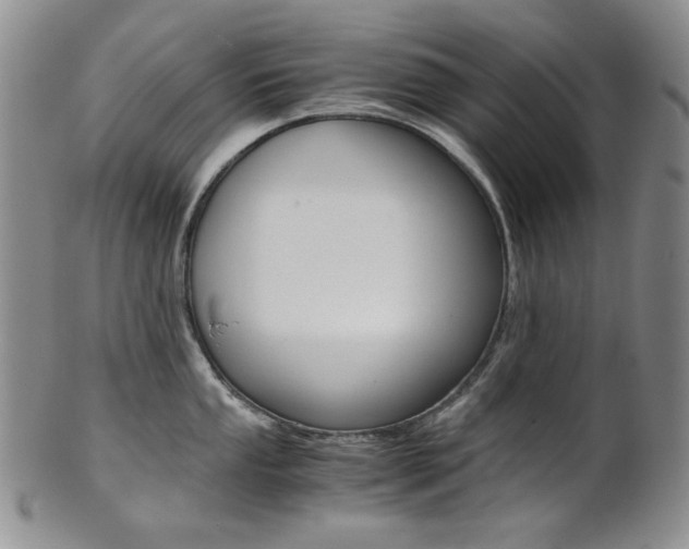 X0000101681053200807101140