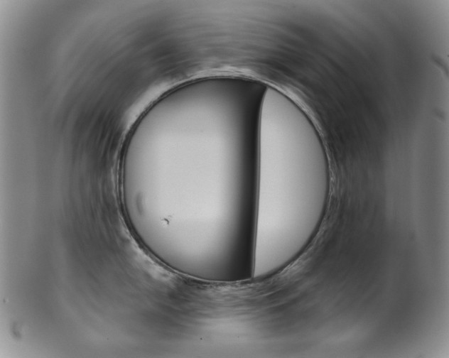 X0000101681054200807101140