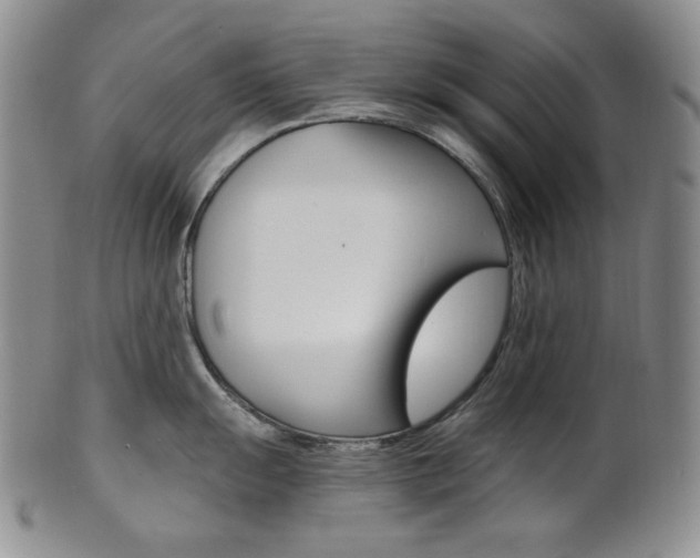 X0000101681055200807101140