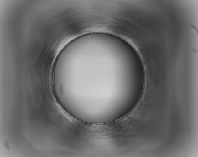 X0000101681056200807101140