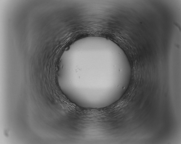 X0000101681057200807101139