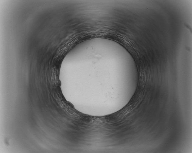 X0000101681058200807101139