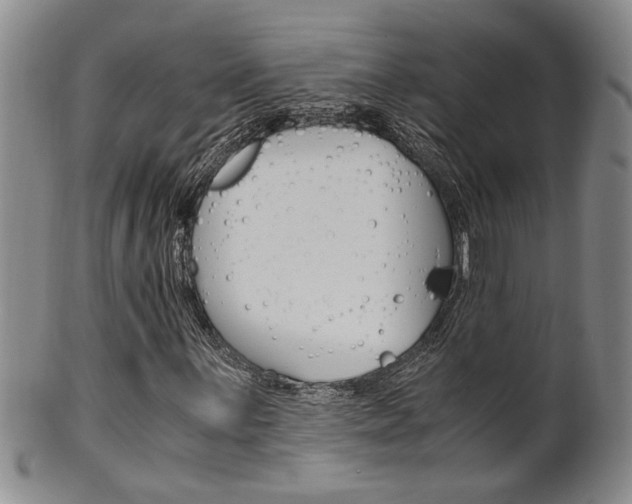 X0000101681059200807101139