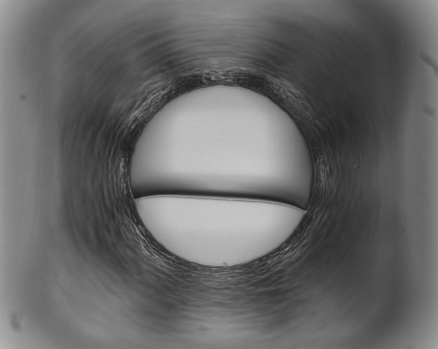 X0000101681060200807101139