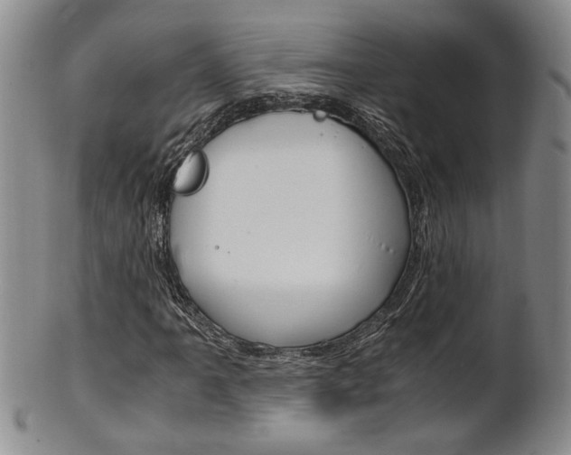 X0000101681061200807101139