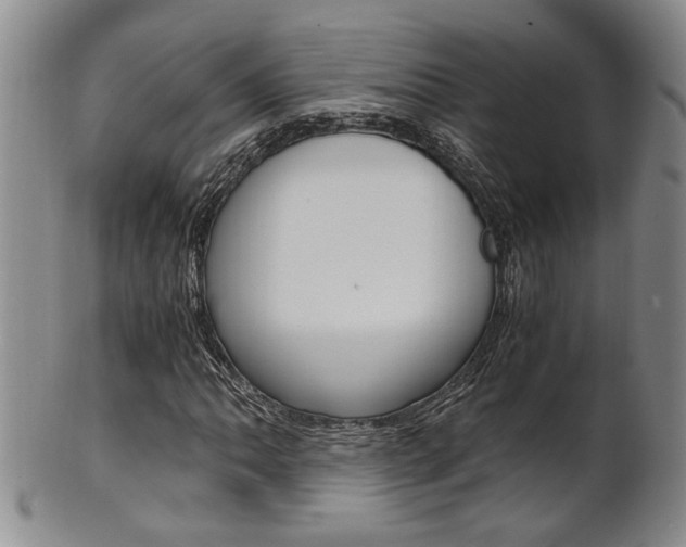 X0000101681062200807101139