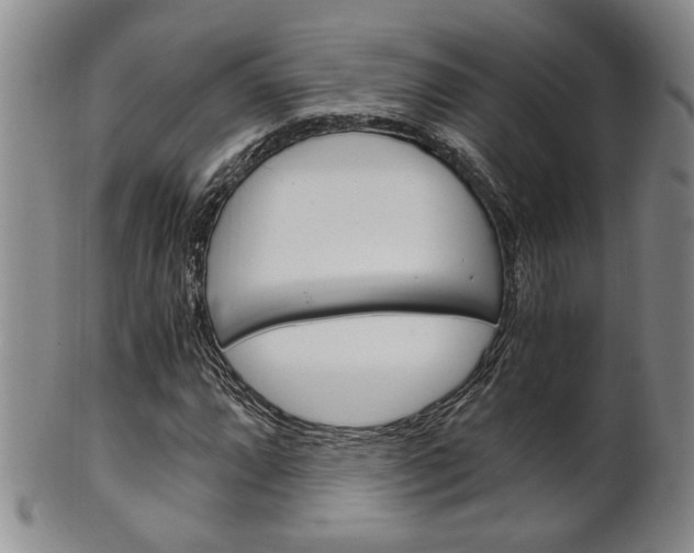 X0000101681064200807101139