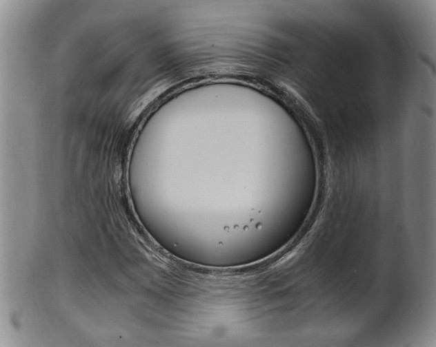 X0000101681065200807101139