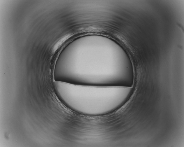 X0000101681066200807101139