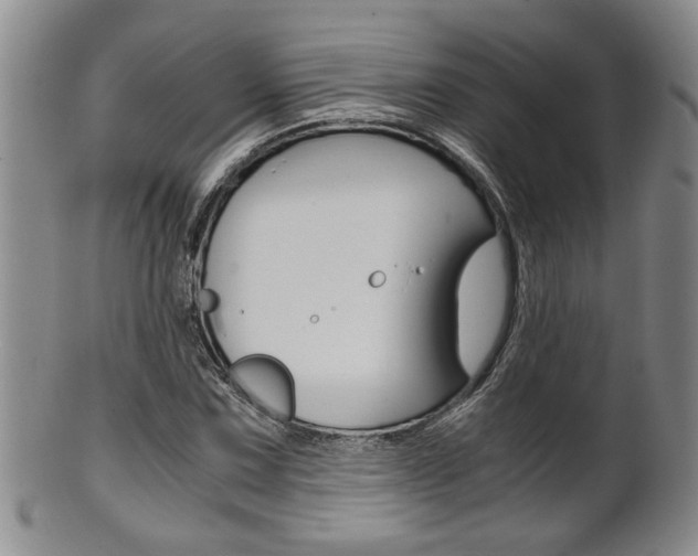 X0000101681067200807101139