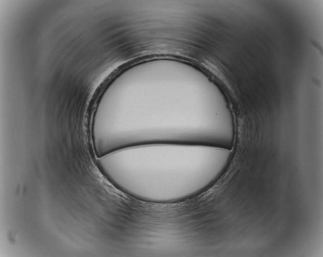 X0000101681068200807101139