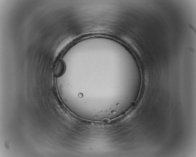 X0000101681069200807101139