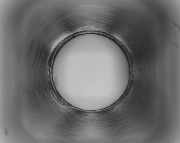X0000101681070200807101139