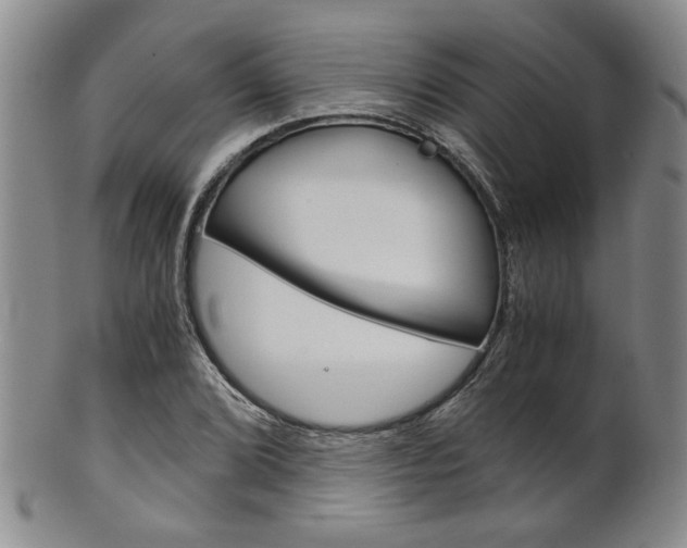 X0000101681072200807101139