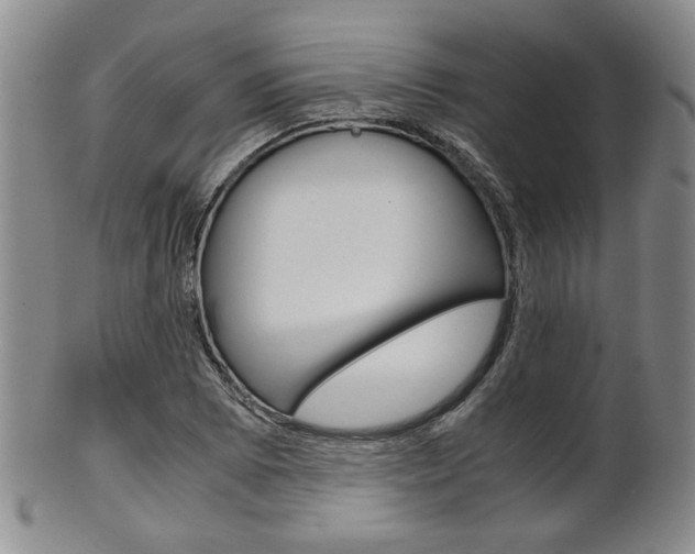 X0000101681073200807101139