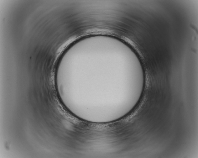 X0000101681074200807101139