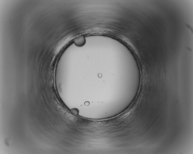 X0000101681075200807101139