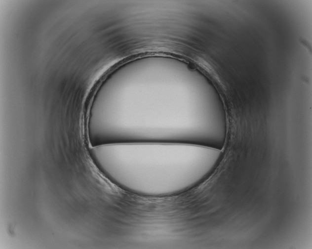 X0000101681076200807101139