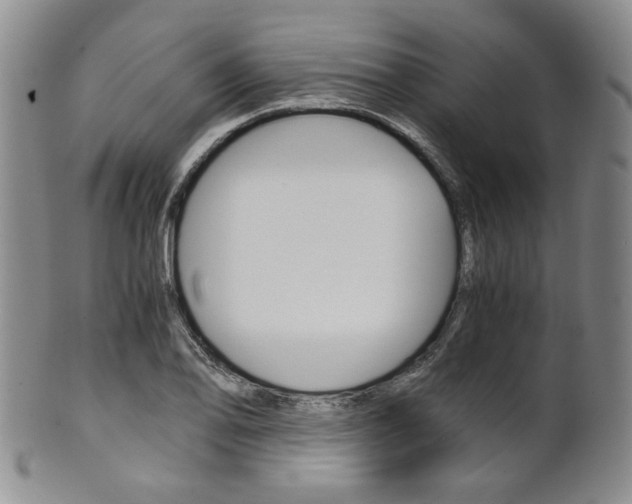 X0000101681078200807101139