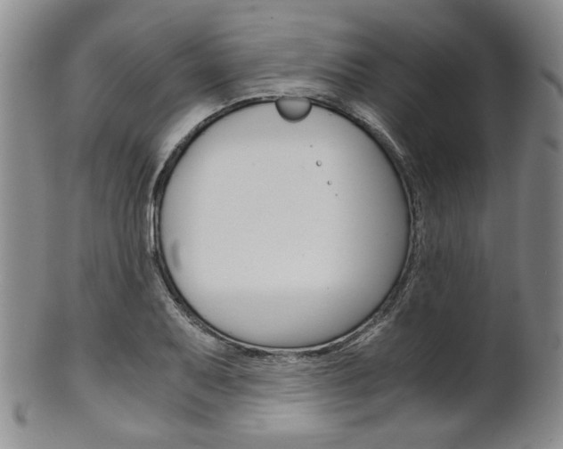 X0000101681079200807101139