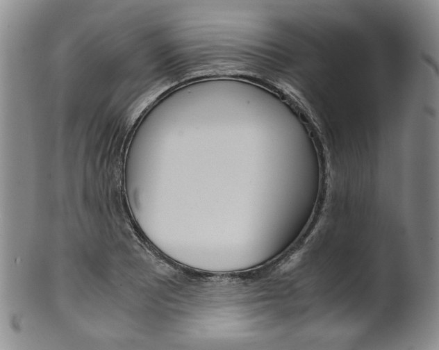 X0000101681081200807101139