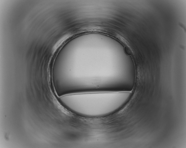 X0000101681082200807101138