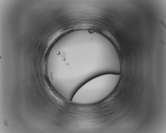 X0000101681083200807101138