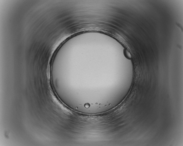 X0000101681084200807101138