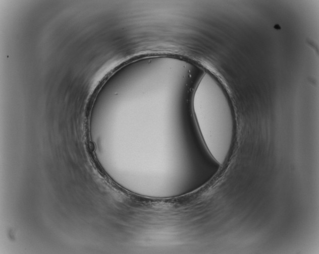 X0000101681085200807101138