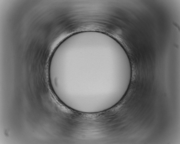 X0000101681086200807101138