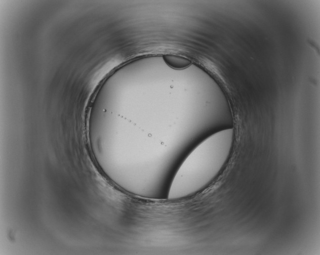 X0000101681087200807101138