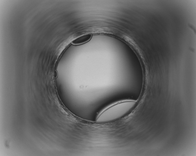 X0000101681089200807101138