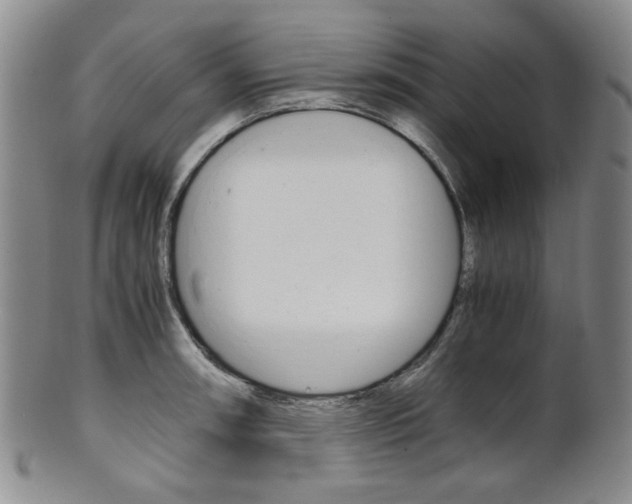 X0000101681090200807101138