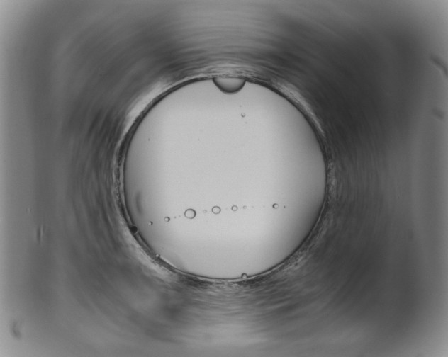 X0000101681091200807101138