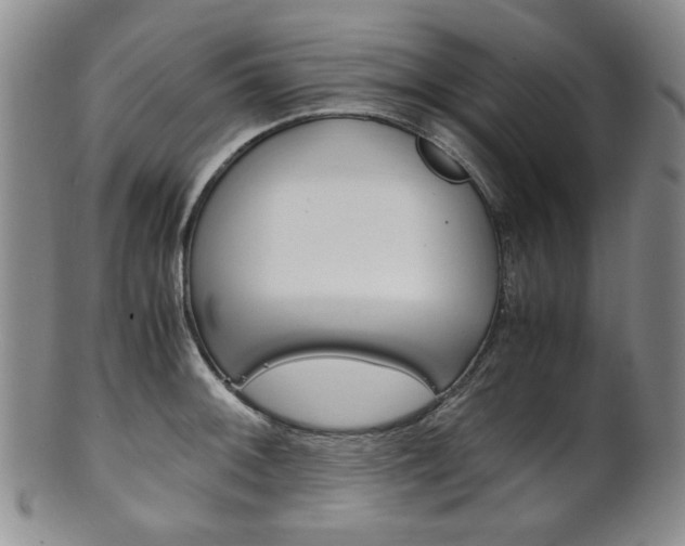 X0000101681092200807101138