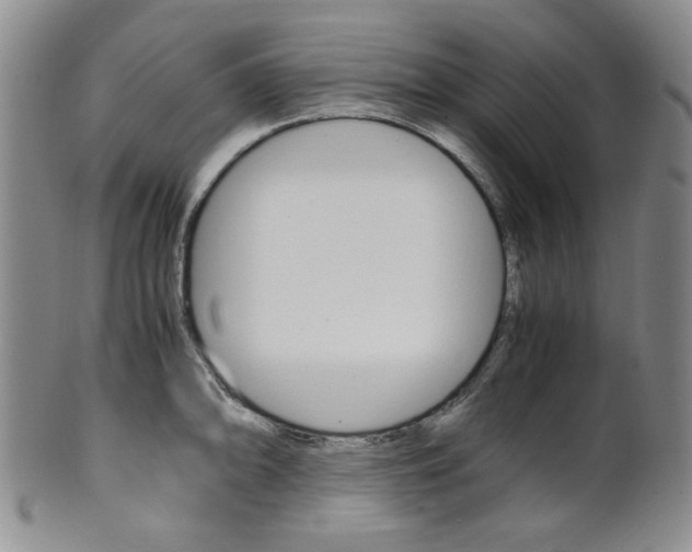 X0000101681094200807101138