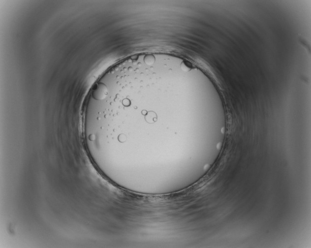 X0000101681095200807101138
