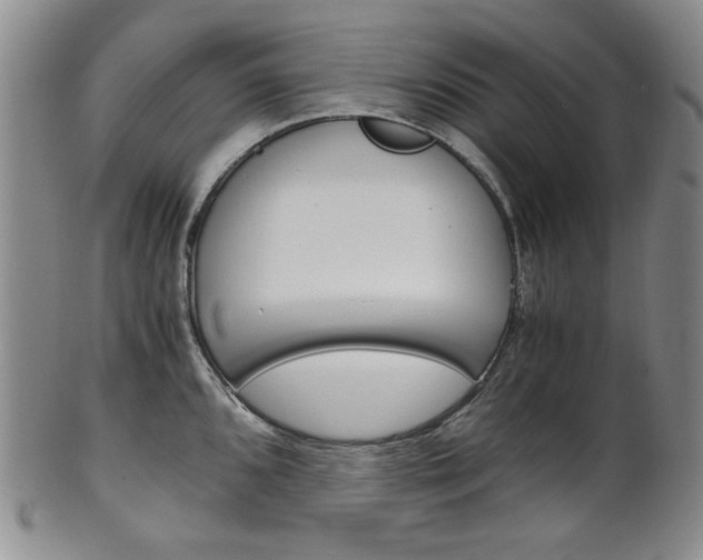 X0000101681096200807101138