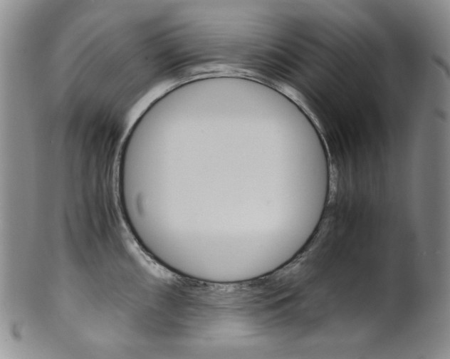 X0000101681098200807101138