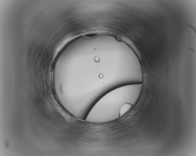 X0000101681099200807101138