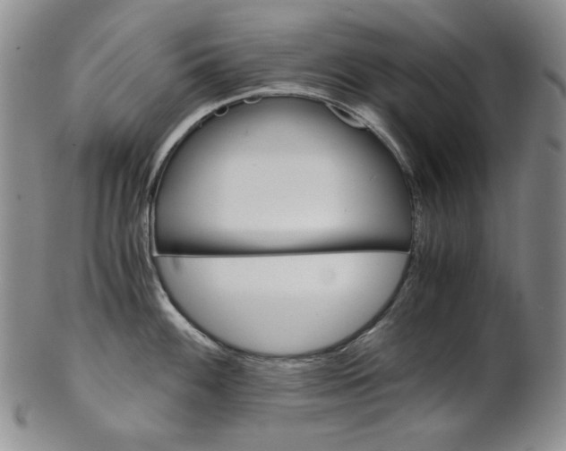 X0000101681100200807101138