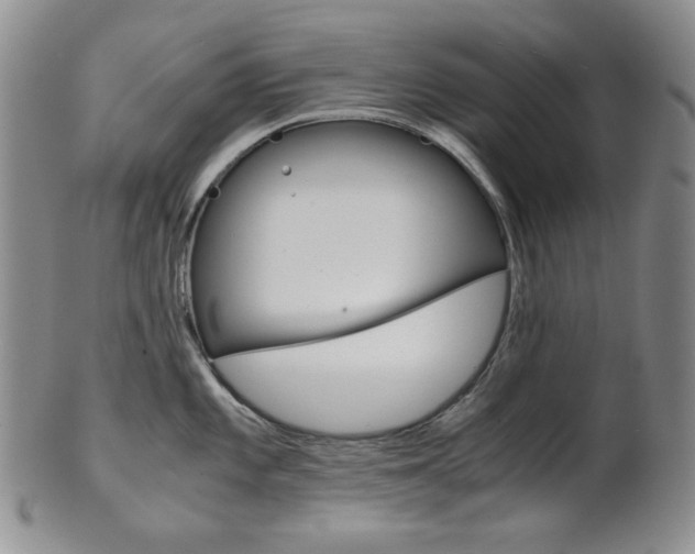 X0000101681101200807101138