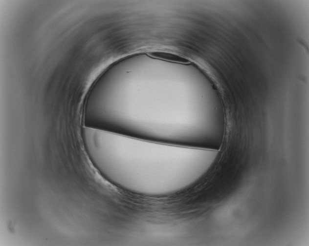 X0000101681102200807101138