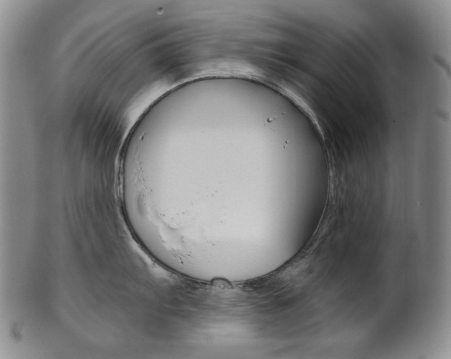 X0000101681103200807101138