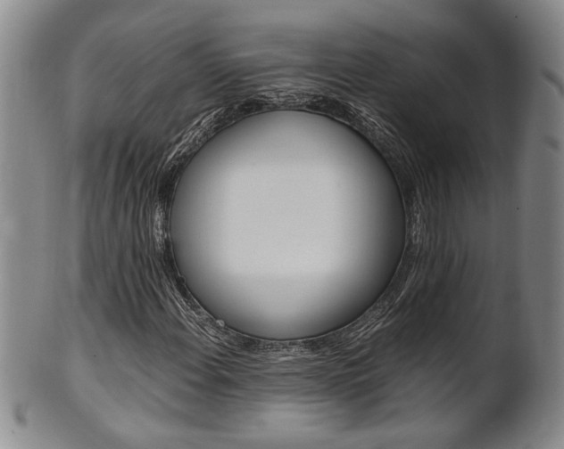 X0000101681108200807101137