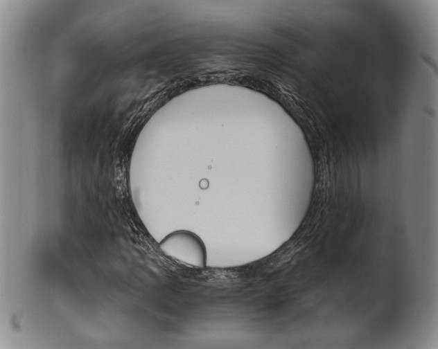 X0000101681109200807101137