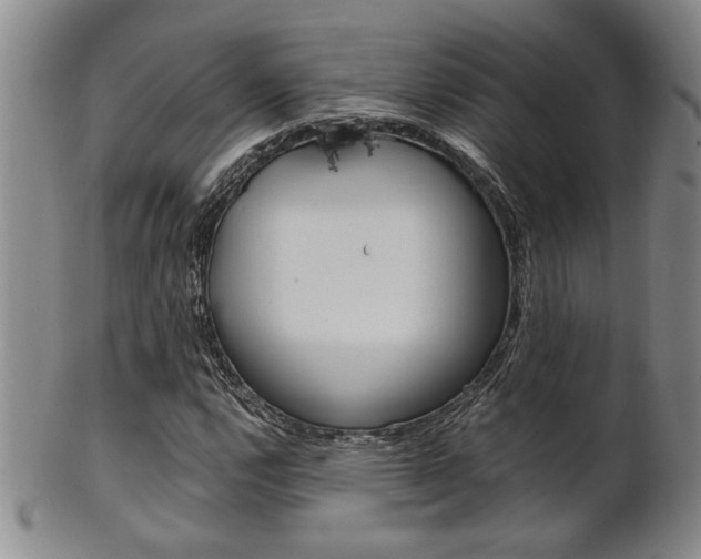 X0000101681112200807101137