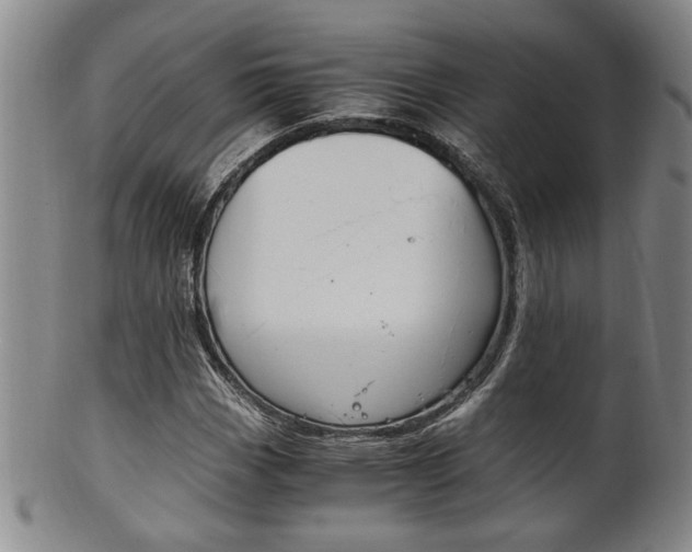X0000101681113200807101137